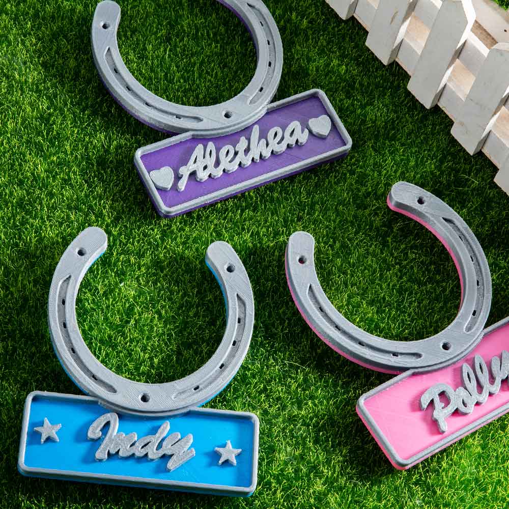 Personalized Horseshoe Door Name Plate Gift for Horse Lovers