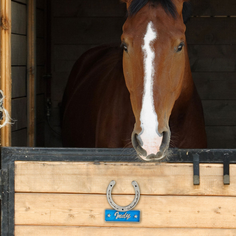 Personalized Horseshoe Door Name Plate Gift for Horse Lovers