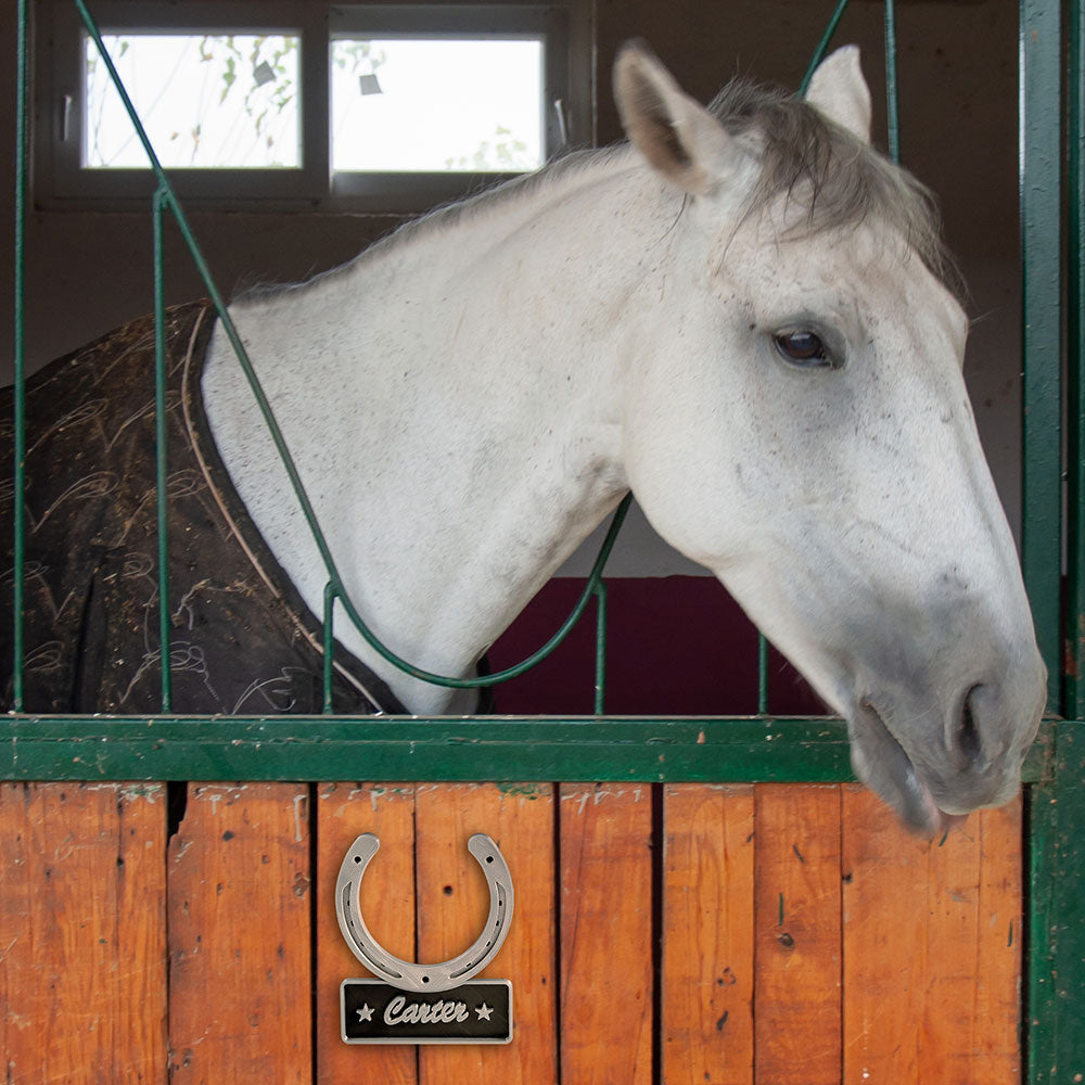 Personalized Horseshoe Door Name Plate Gift for Horse Lovers