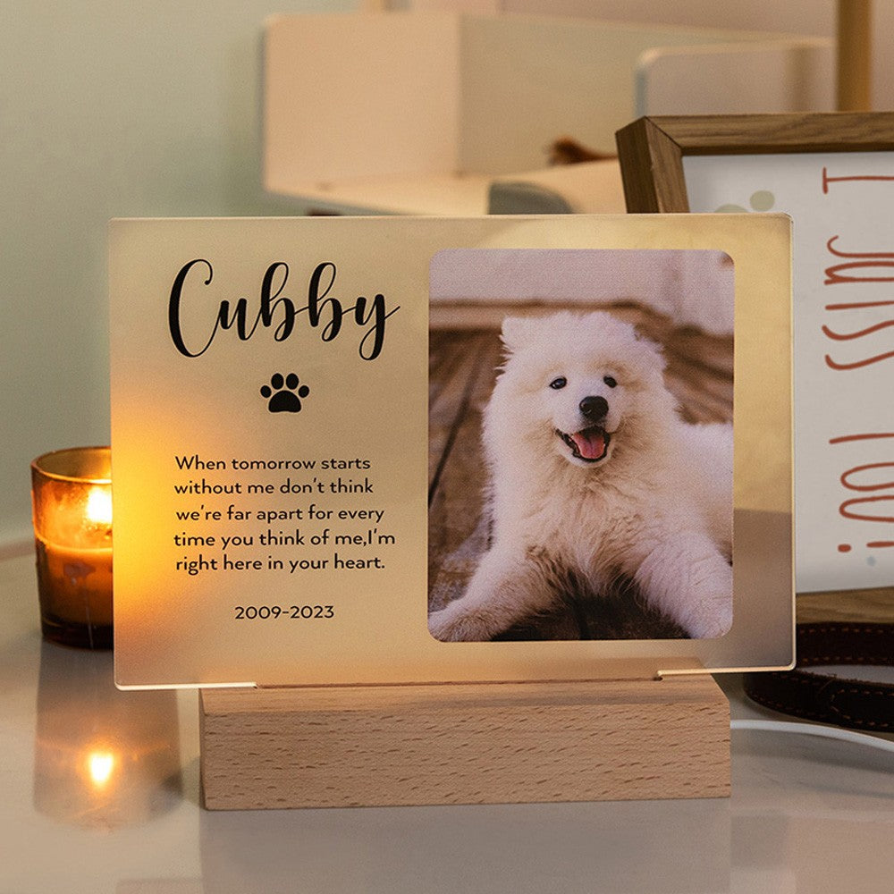 Personalized Name Light Up Pet Memorial Plaque, Custom Photo Night Light Memorial Plaque, Acrylic Sign with Wood Base, Sympathy Gifts for Pet Loss