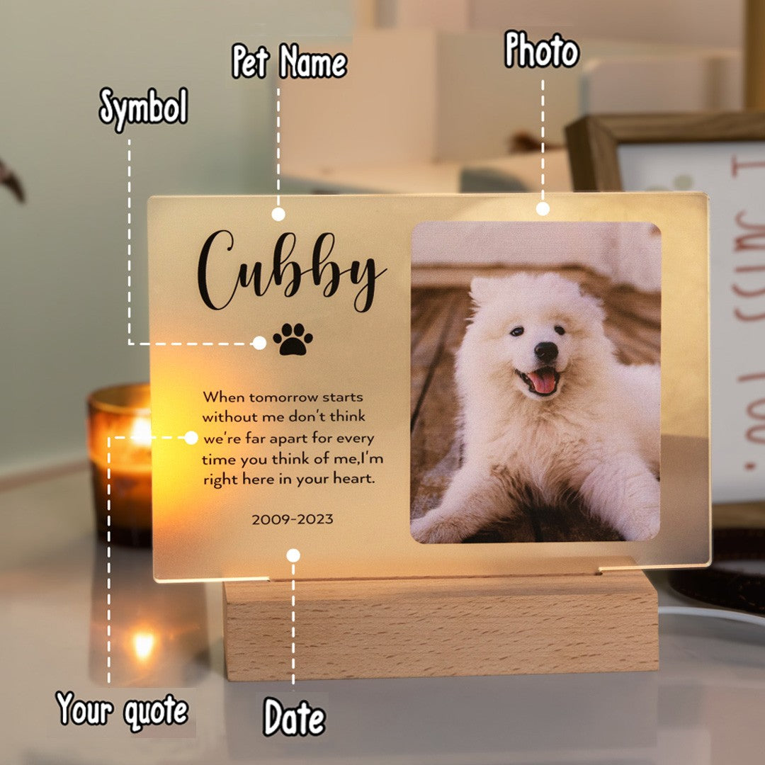 Personalized Name Light Up Pet Memorial Plaque, Custom Photo Night Light Memorial Plaque, Acrylic Sign with Wood Base, Sympathy Gifts for Pet Loss