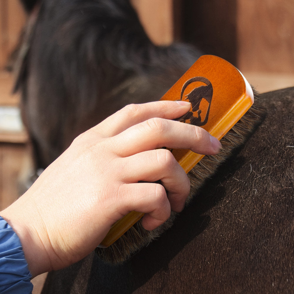 Custom Laser Engraved Horsehair Brush Gift for Horse Lover rectangular style